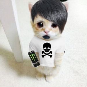 Meet your Posher, Rowan